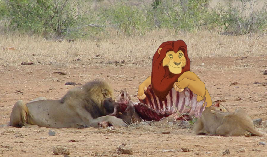 Photoshop-Design von budap001 für DesignCrowd (Community Contests) | Design #8996731