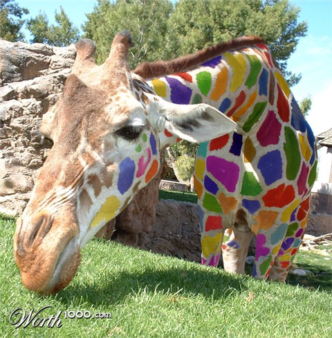 Photoshop Design by patrouille