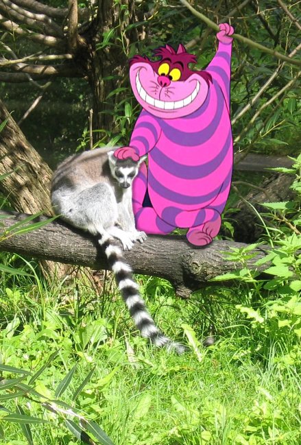 Photoshop Design by unstablefiend for DesignCrowd (Community Contests) | Design #8996745