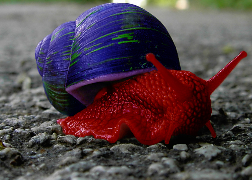 Photoshop-Design von TwoLines für DesignCrowd (Community Contests) | Design #8996035