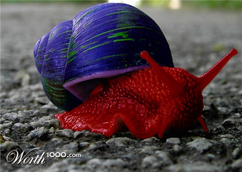 Photoshop Design by TwoLines