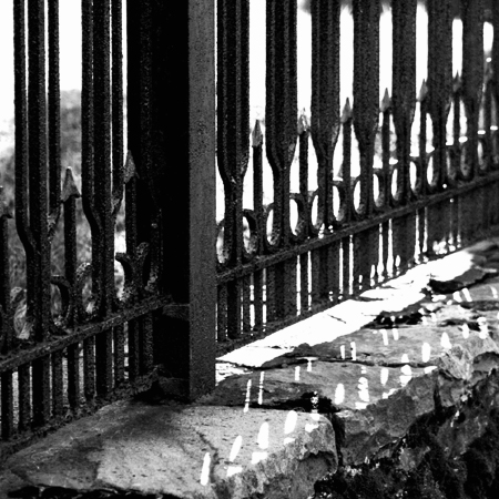 Photography by heidiinc for DesignCrowd (Community Contests) | Design #8990454