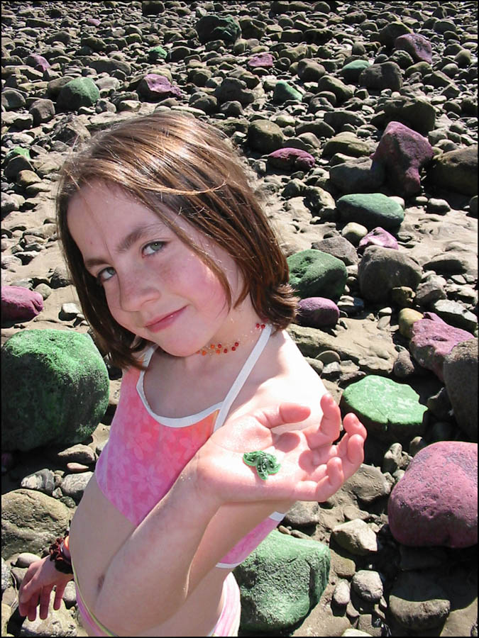 Photoshop Design by ClickChick for DesignCrowd (Community Contests) | Design #8996058