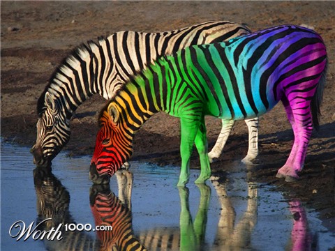 Photoshop Design by Dutchie1