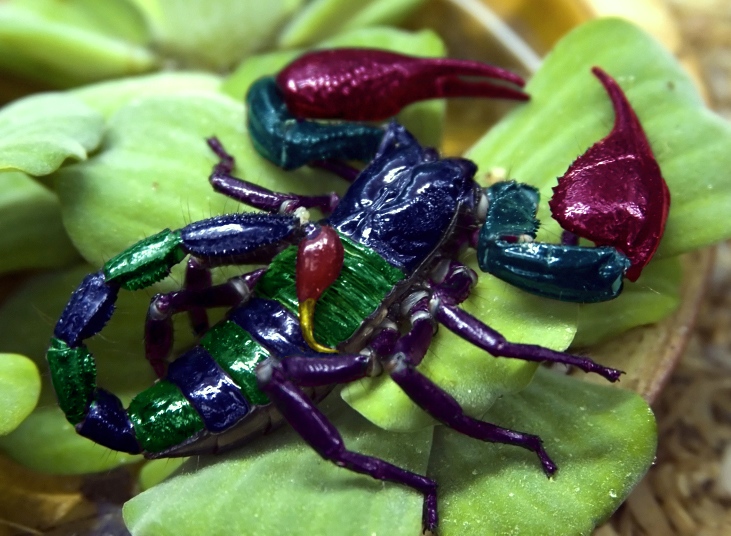 Design Photoshop par Stadsman pour DesignCrowd (Community Contests) | Design #8995985