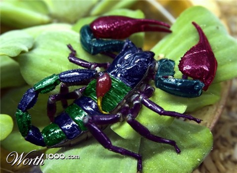 Photoshop Design by Stadsman