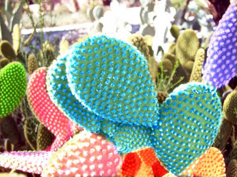 Photoshop-Design von rdk für DesignCrowd (Community Contests) | Design #8995961