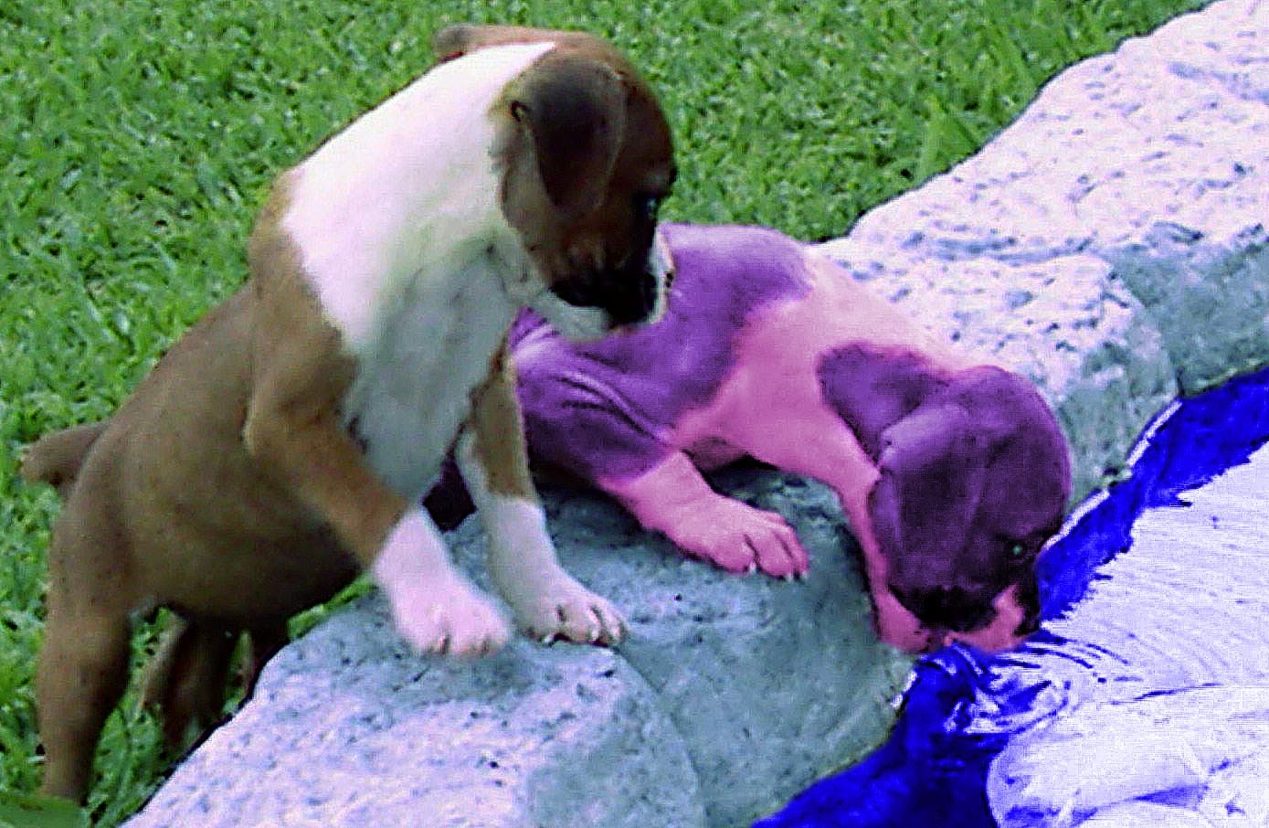 Diseño de Photoshop por arttrainer para DesignCrowd (Community Contests) | Diseño #8995979