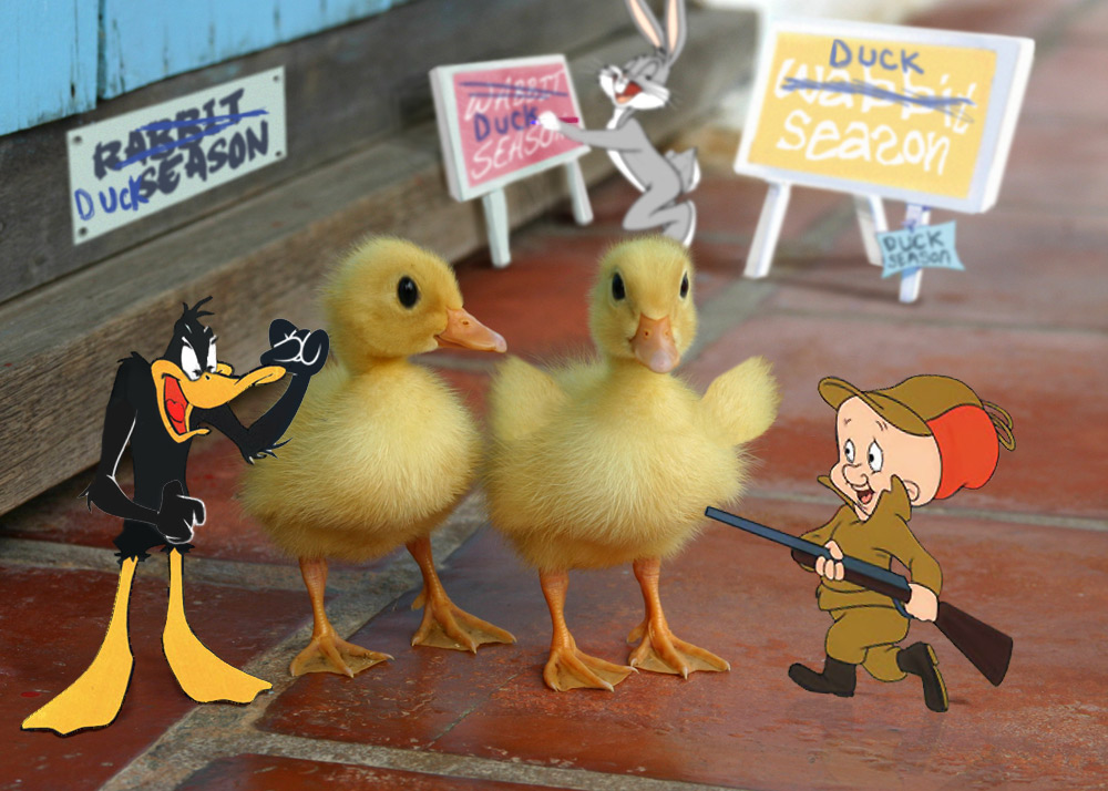 Photoshop Design by sugarcane for DesignCrowd (Community Contests) | Design #8996765