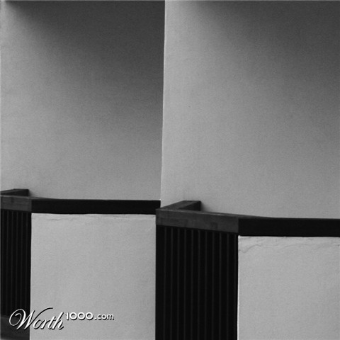 Photography by furfree