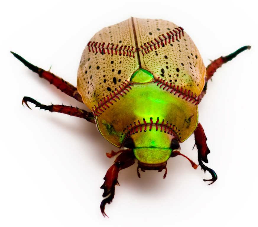 Diseño de Photoshop por Sankrah para DesignCrowd (Community Contests) | Diseño #8995989