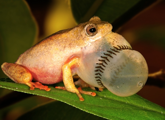 Design Photoshop par Stadsman pour DesignCrowd (Community Contests) | Design #8995976