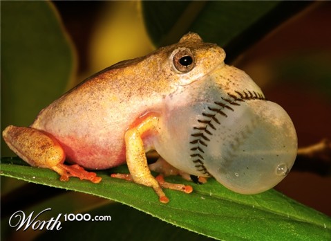 Photoshop Design by Stadsman