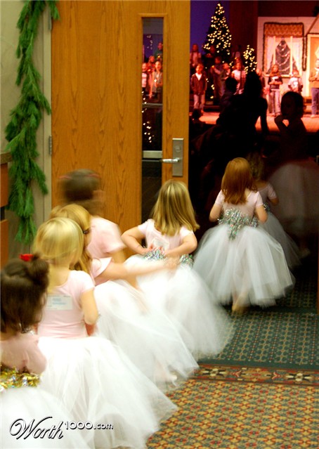 Photography by northman