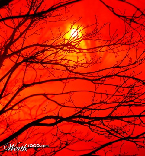 Photography by mdanse