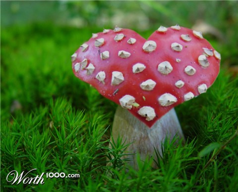 Photoshop Design by doehlman