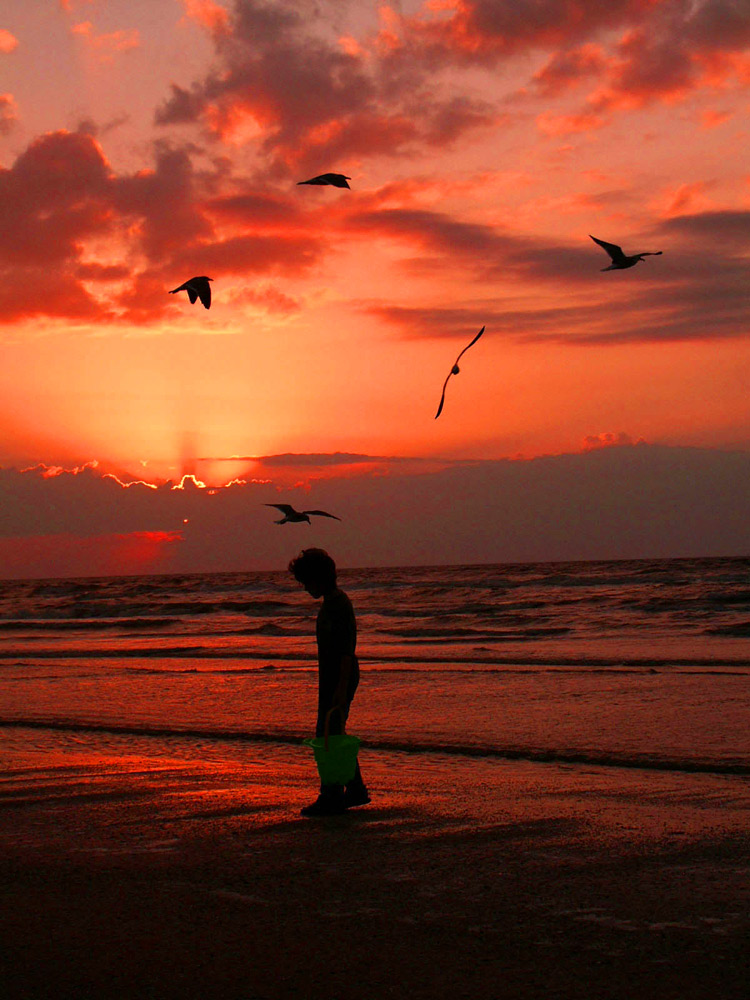 Photography by Lmorrow57 for DesignCrowd (Community Contests) | Design #8995360