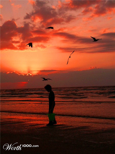 Photography by Lmorrow57