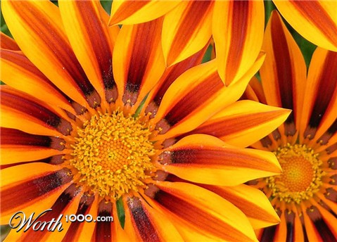 Photography by cliknsnap