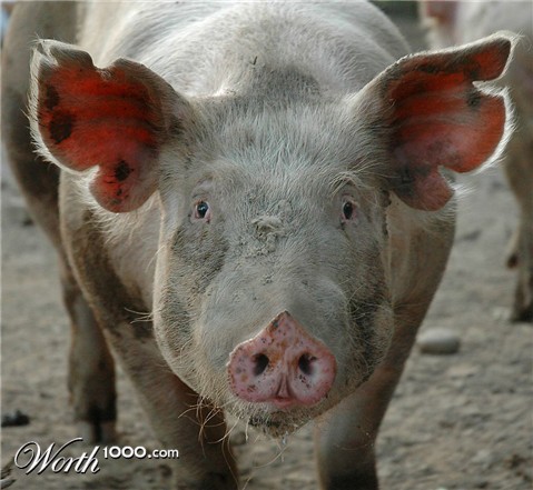 Photoshop Design by Bastrofski