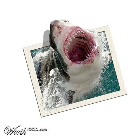 Photoshop Design by Ricardo135