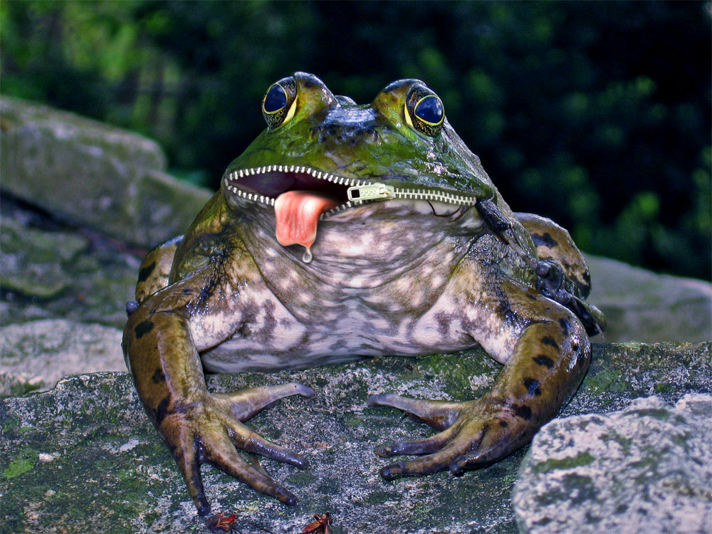 Photoshop-Design von AlanSmithee für DesignCrowd (Community Contests) | Design #8995550