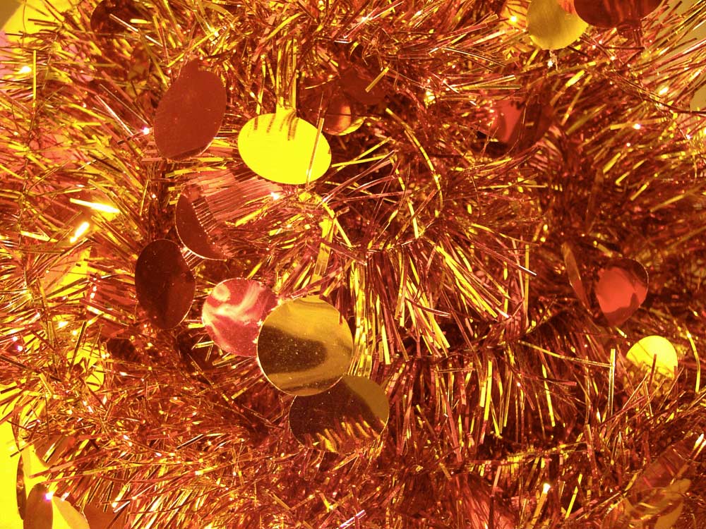 Photography by Kituse for DesignCrowd (Community Contests) | Design #8995439