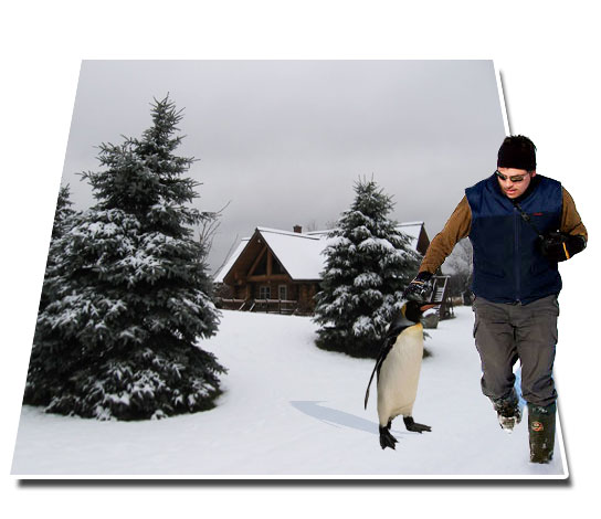 Photoshop Design by CreativeBrian for DesignCrowd (Community Contests) | Design #8992392