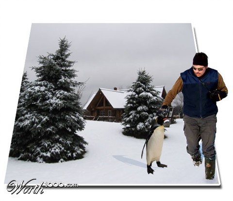 Photoshop Design by CreativeBrian