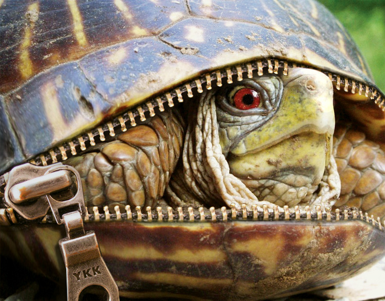 Diseño de Photoshop por Mandrak para DesignCrowd (Community Contests) | Diseño #8995605