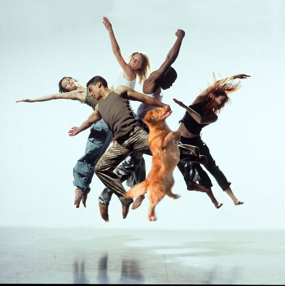 Photoshop Design by evyken for DesignCrowd (Community Contests) | Design #8995436