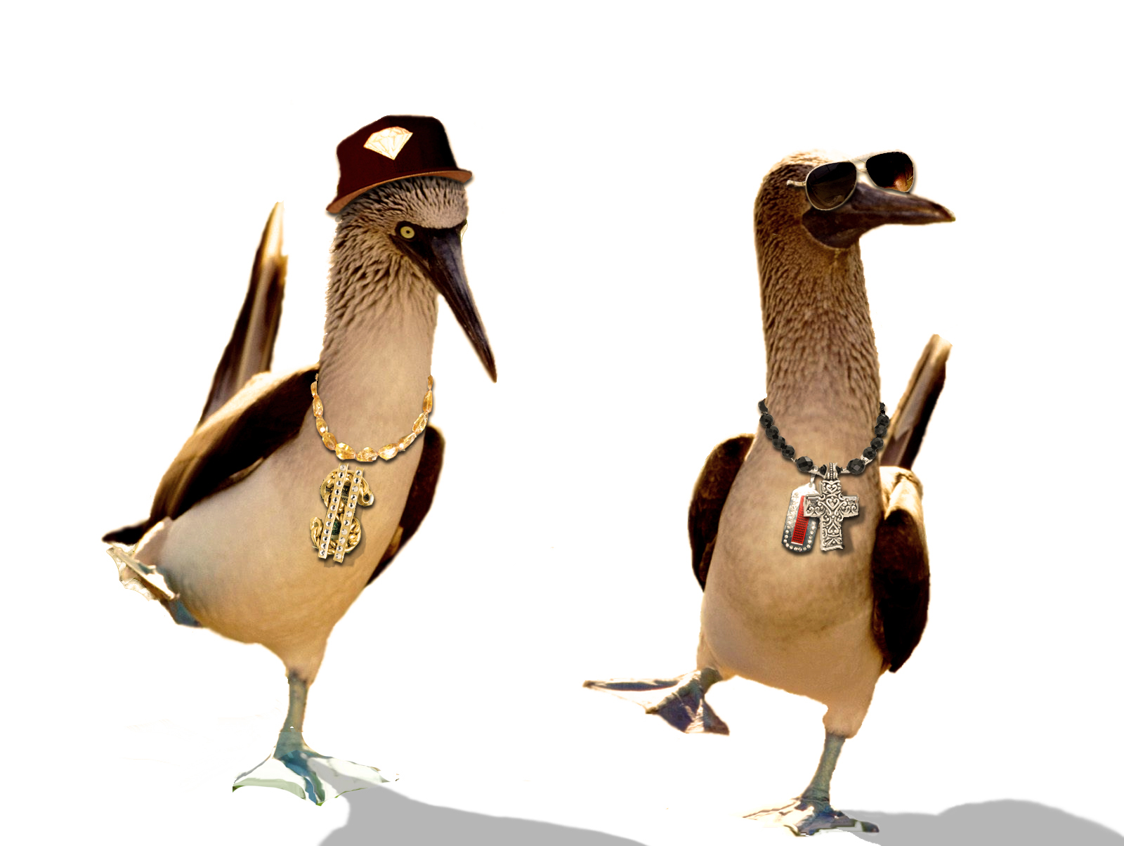 Photoshop Design by denniswitjes for DesignCrowd (Community Contests) | Design #8995468