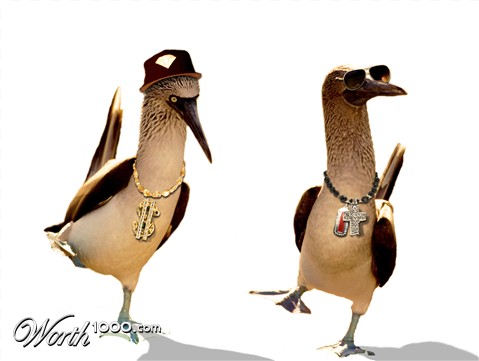 Photoshop Design by denniswitjes