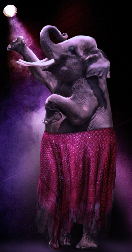 Design Photoshop par bosss1 pour DesignCrowd (Community Contests) | Design #8995475