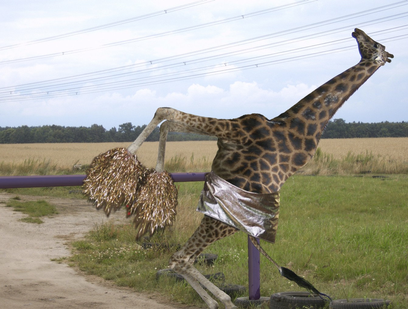 Diseño de Photoshop por KlausTrophobie para DesignCrowd (Community Contests) | Diseño #8995487