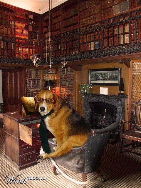 Photoshop Design by Damsel