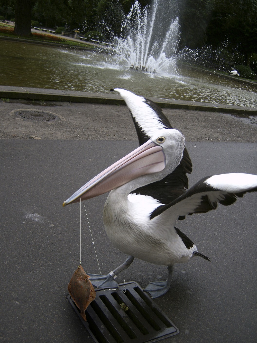 Diseño de Photoshop por KlausTrophobie para DesignCrowd (Community Contests) | Diseño #8991834