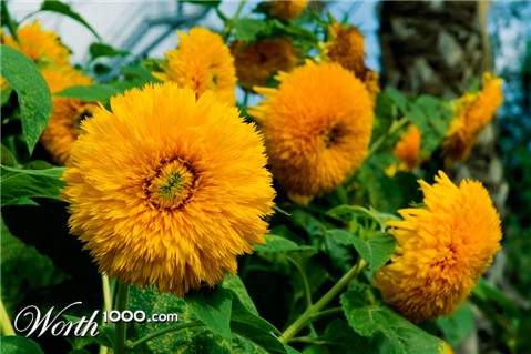 Photography by AlastairI