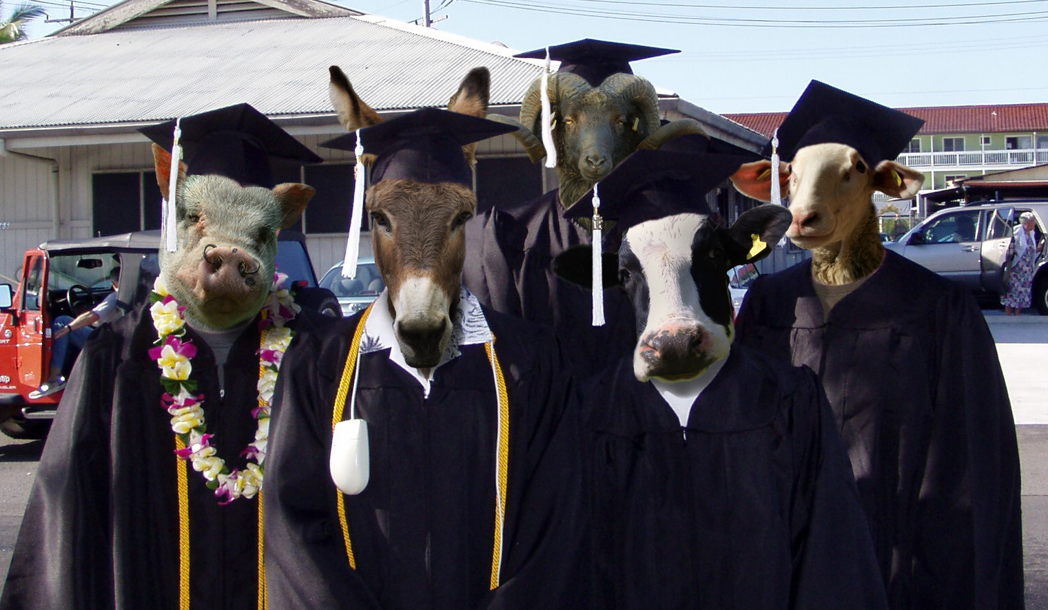 Photoshop Design by benjigold for DesignCrowd (Community Contests) | Design #8991883