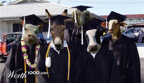 Photoshop Design by benjigold