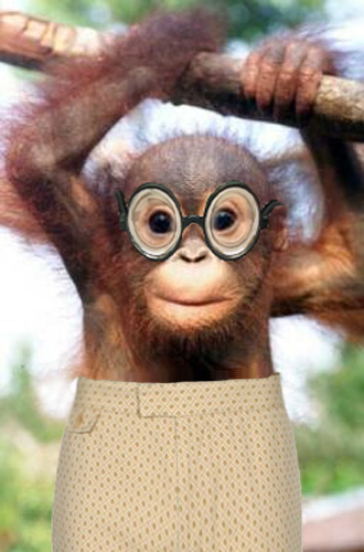 Photoshop Design by PeterAAAWelch for DesignCrowd (Community Contests) | Design #8991847