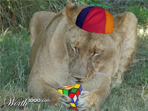 Photoshop Design by Monica