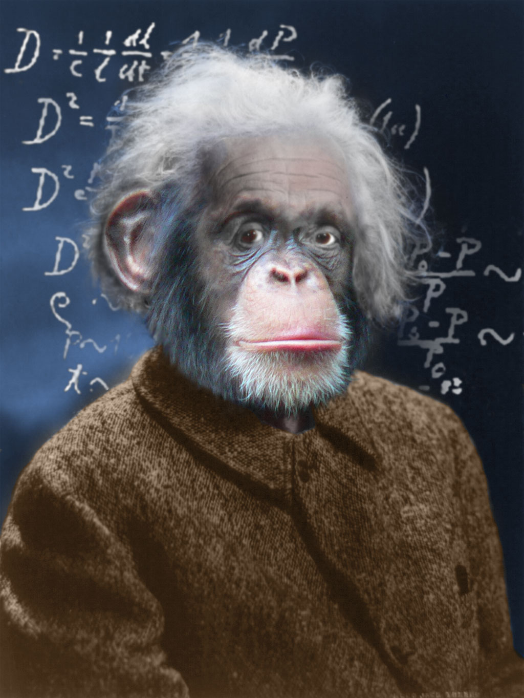 Photoshop Design by VoidPointer for DesignCrowd (Community Contests) | Design #8991850