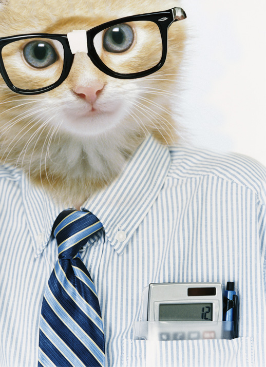 Photoshop Design by rosemountmn for DesignCrowd (Community Contests) | Design #8991855