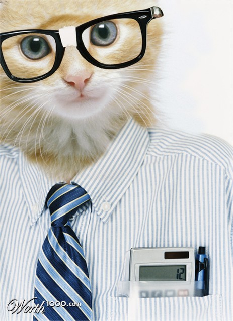 Photoshop Design by rosemountmn