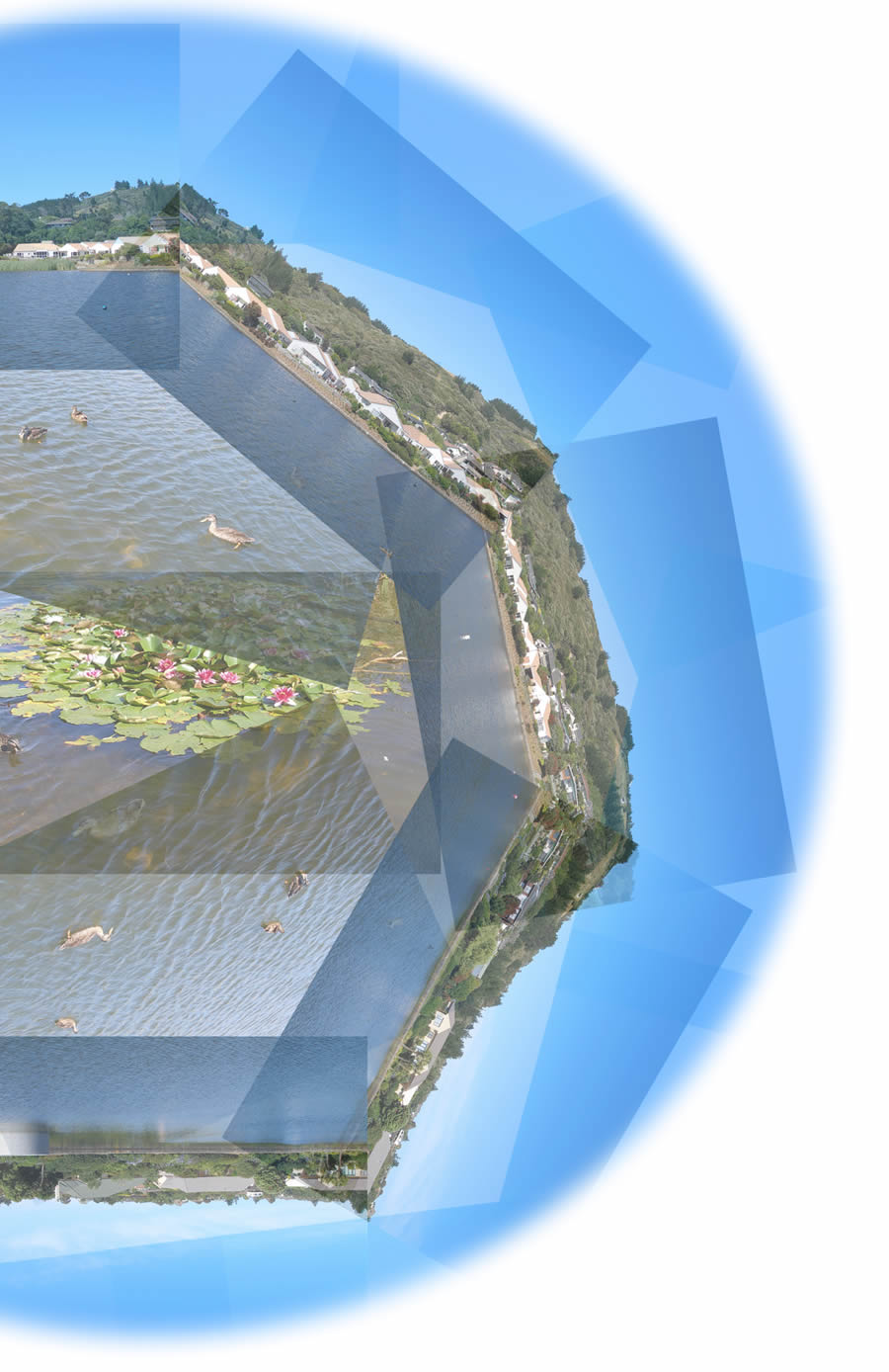 Photography by Andromeda5000 for DesignCrowd (Community Contests) | Design #8994630