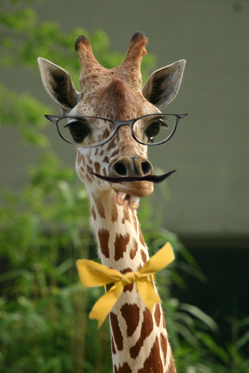 Photoshop Design by evyken for DesignCrowd (Community Contests) | Design #8991864