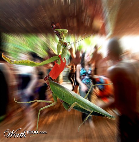 Photoshop Design by chenzen