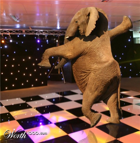 Photoshop Design by reliable