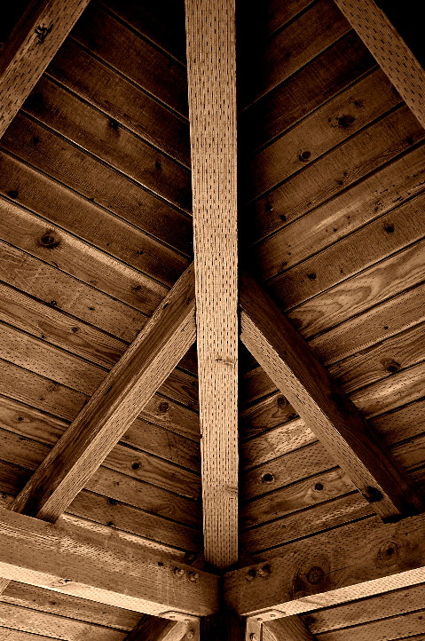 Photography by tlovesd for DesignCrowd (Community Contests) | Design #8990995